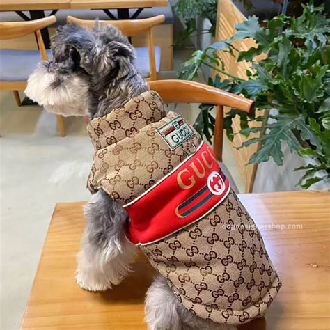 gucci dog sweatshirts|designer dog coats Gucci.